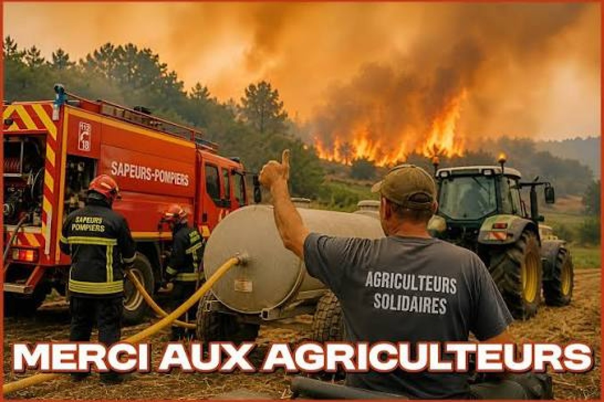 article header cover image